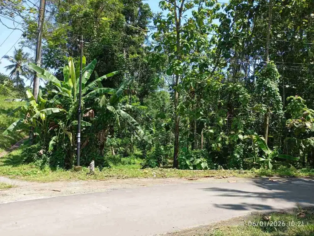 Bagi Kangen Sejuknya Udara Kampung Tanah Kampung Siap Bangun diWangon Purwokerto