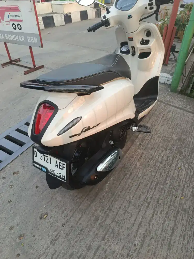 Mulus mtr filano