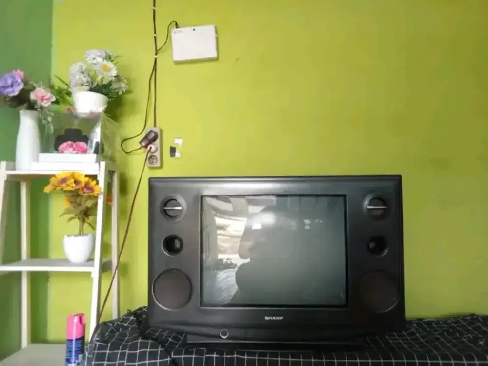 TV SHARP ALEXANDER SLIM 21IN ORI