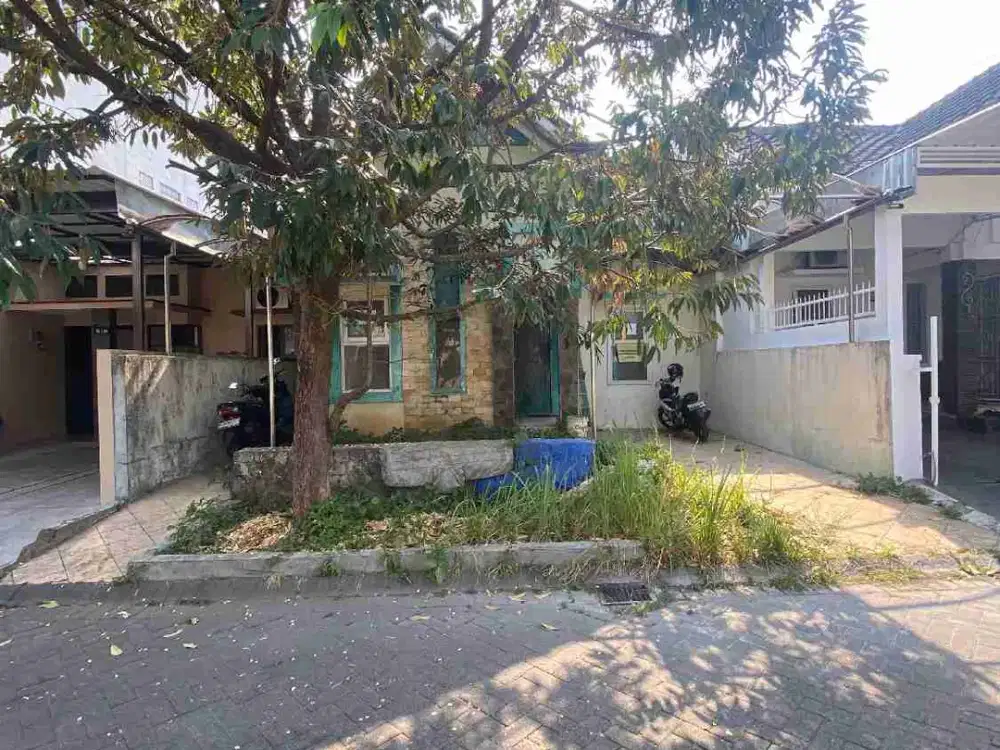 Rumah Luas Tanah 136 Dieng Raya Langsep 500 Jutaan SHM
