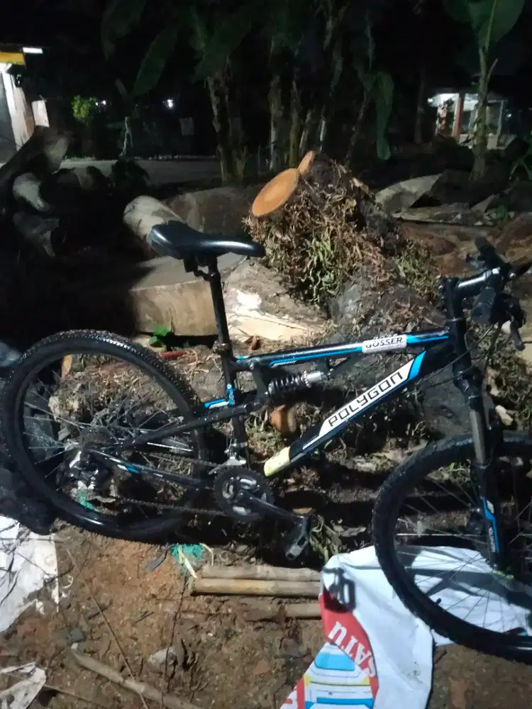 Jual sepeda gunung polygon