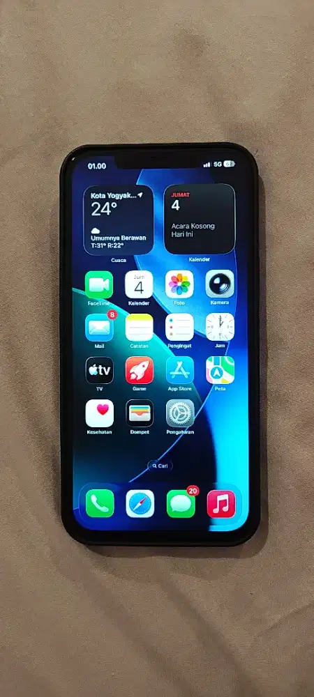 iPhone 12 Promax 256