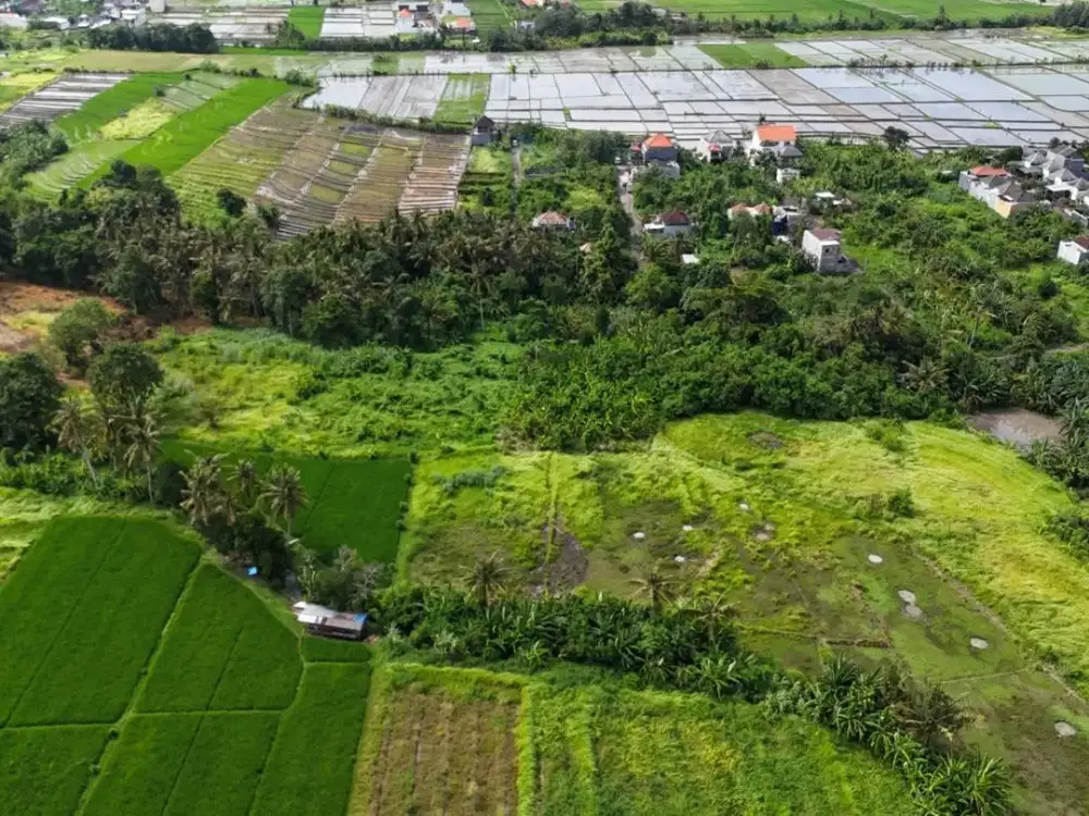 Dijual Tanah Los Sungai View Sawah di Area Tanah Lot Tabanan