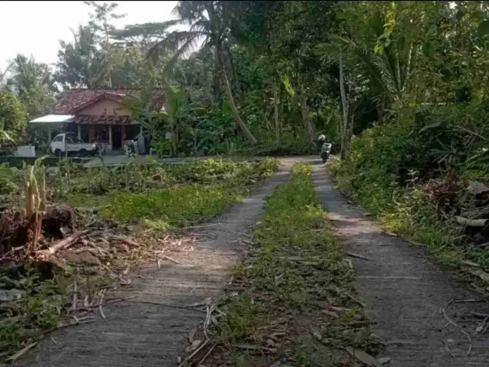 Tanah Murah dekat stadion cangkring Wates