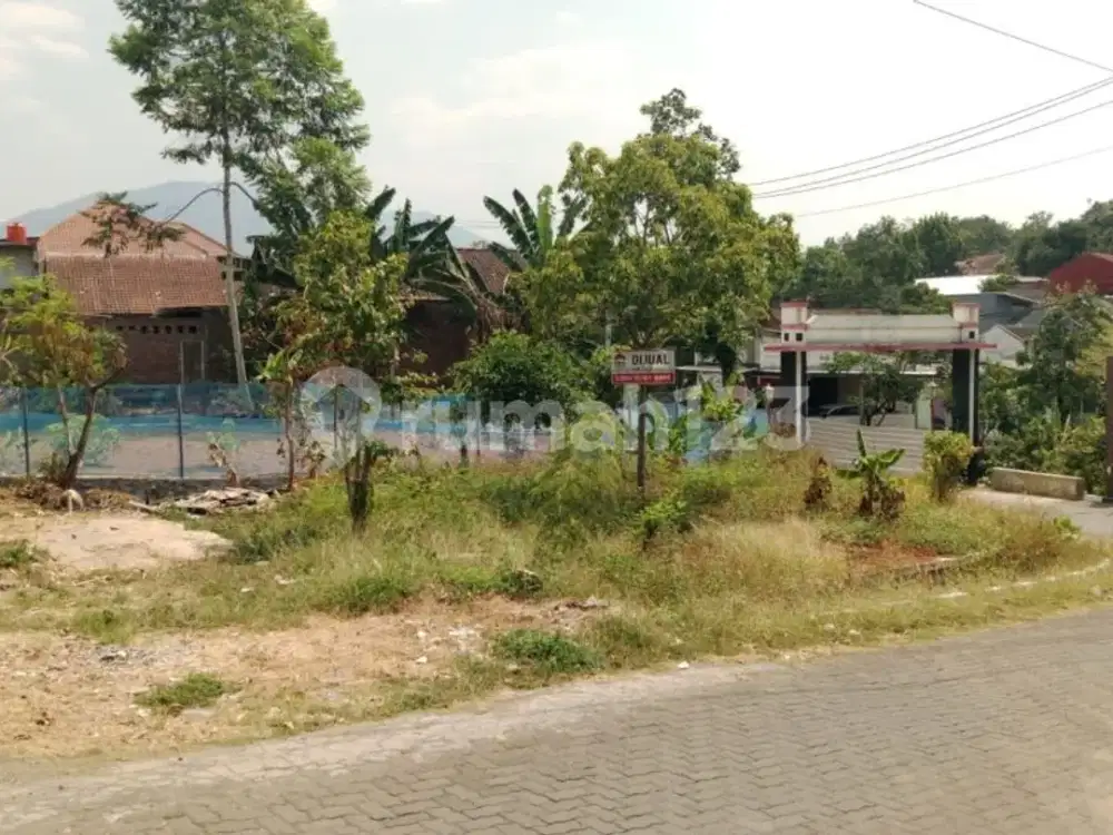 Tanah cocok untuk usaha
