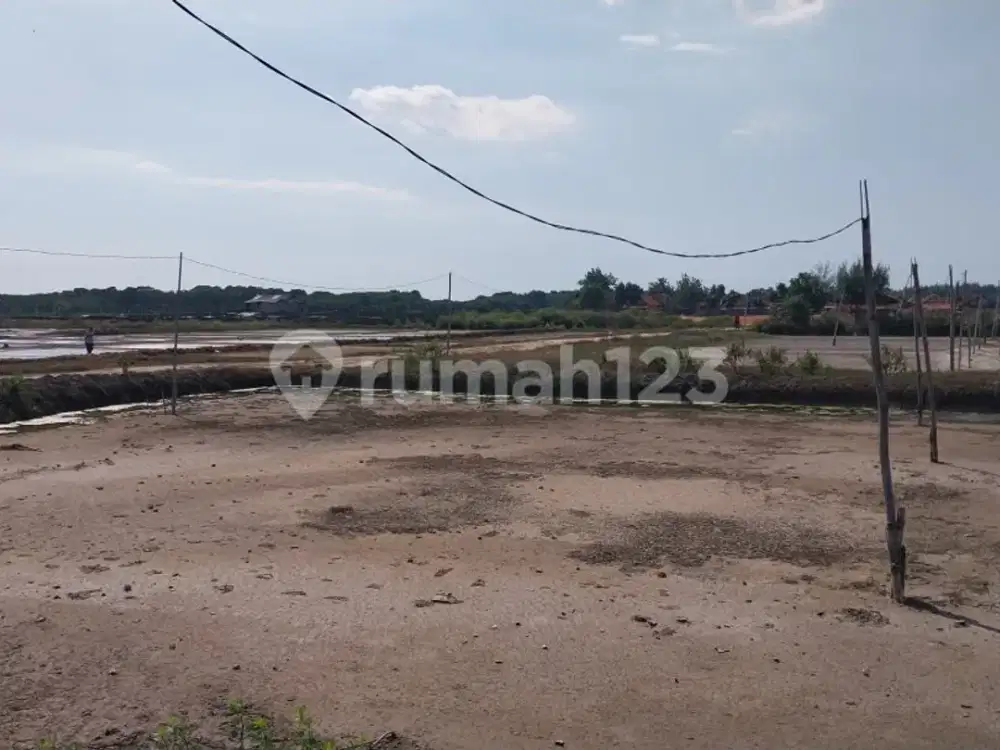 Tambak Garam Luas di Rembang