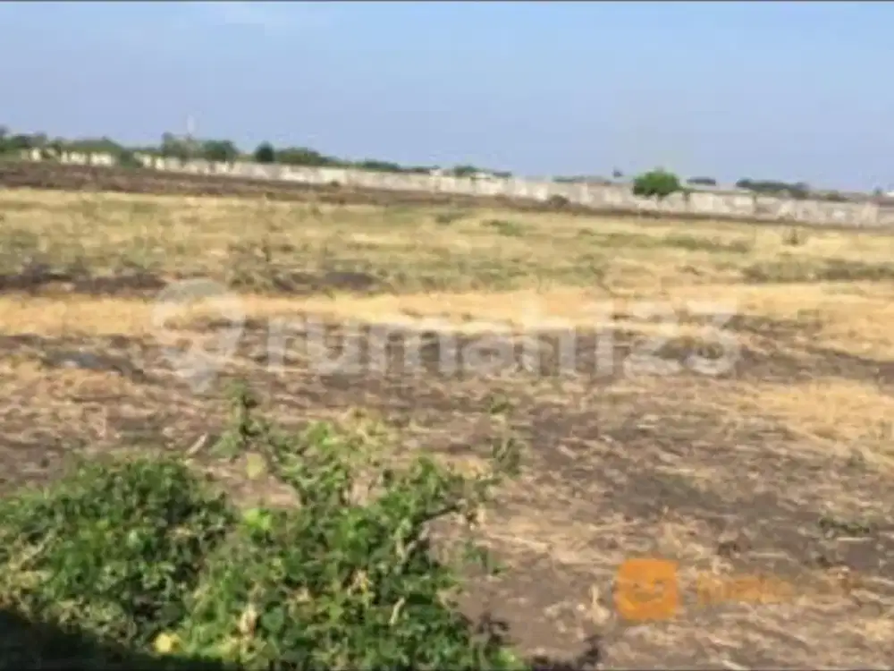 DiJual Tanah 30 Ha dan 40 Ha di Pasuruan, Jawa timur