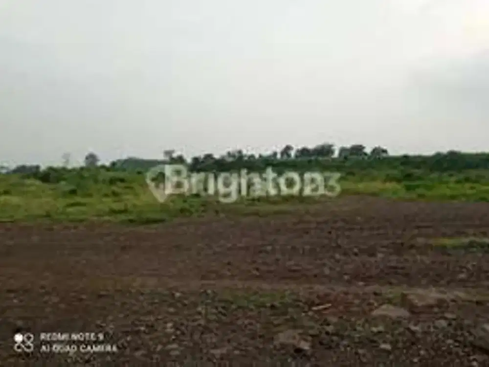 TANAH PASURUAN DAN JOMBANG, JAWA TIMUR IJIN INDUSTRI (KODE RMRG1573)