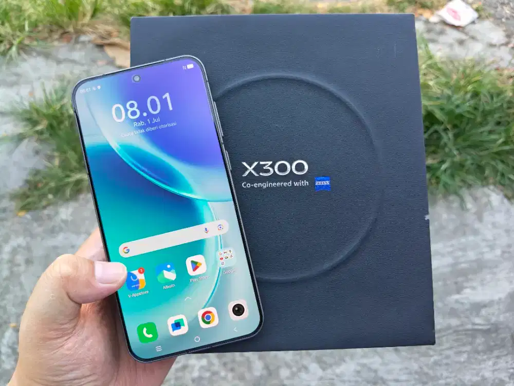 VIVO X300 12/256