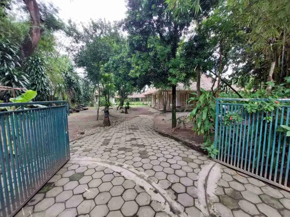 TANAH LUAS SHM HARGA NEGO DI POGUNG DEKAT UGM