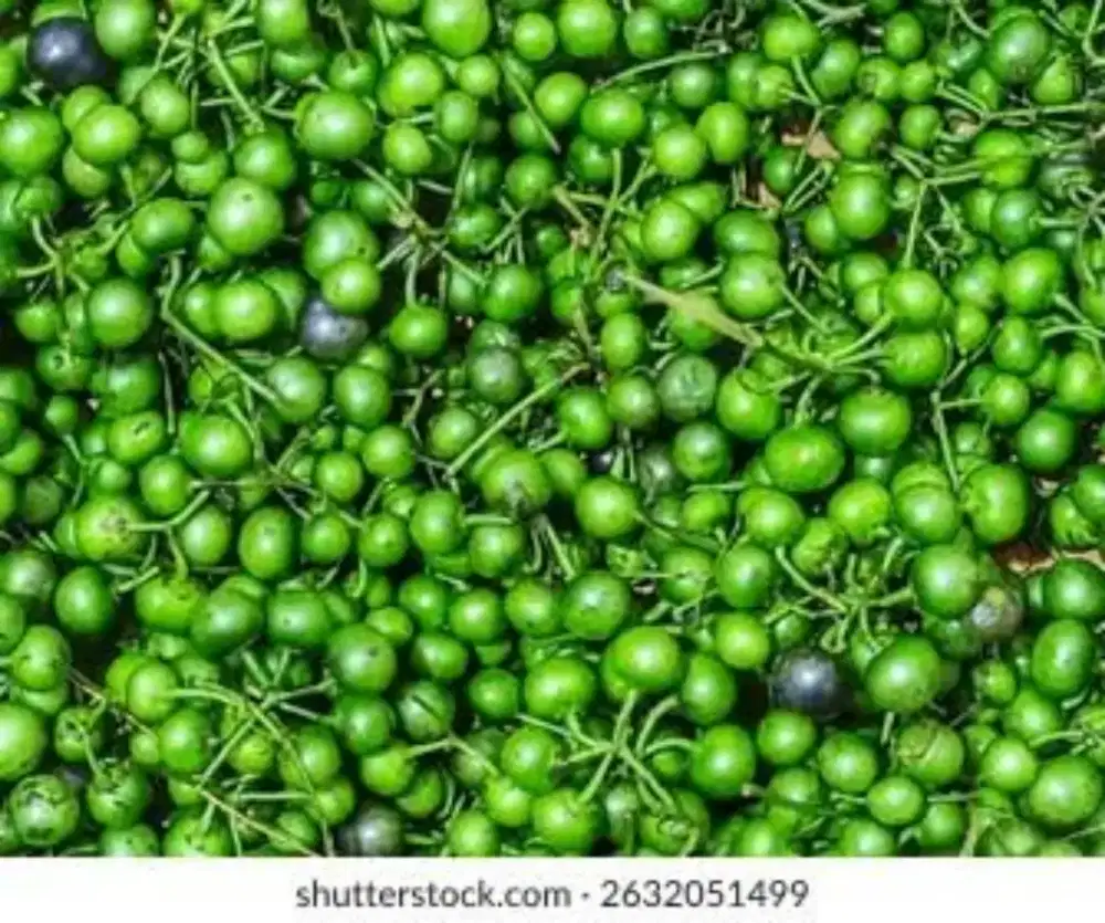 Leunca segar Pasar Cisalak 25.000