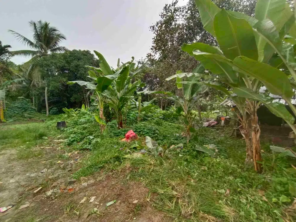 Tanah kapling di manggar