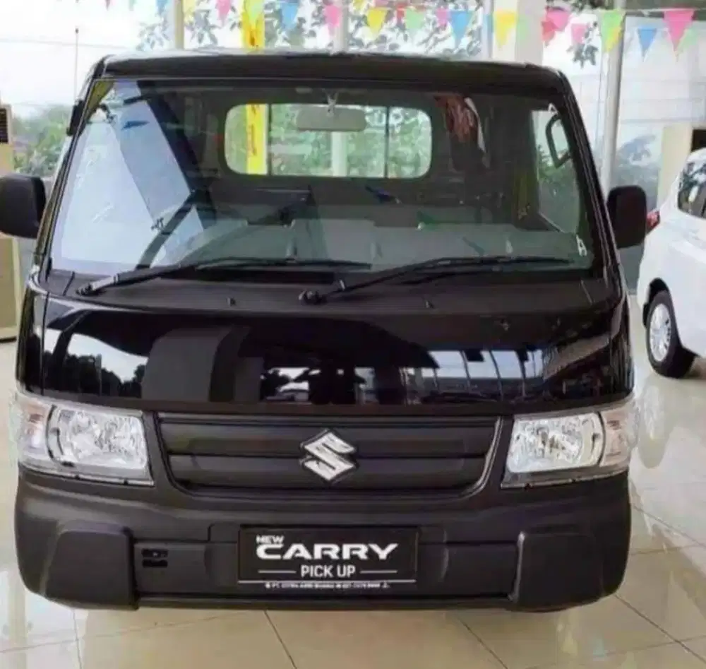 carry pickup acps