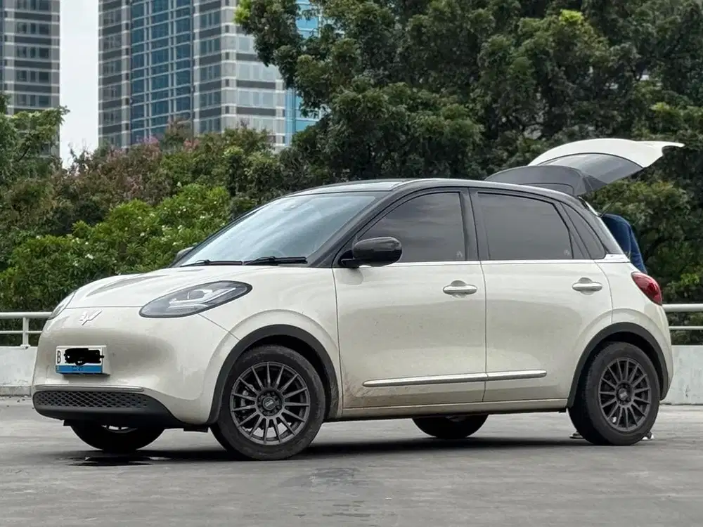 Wuling Binguo EV Long Range 333 km AC Extended Free Service