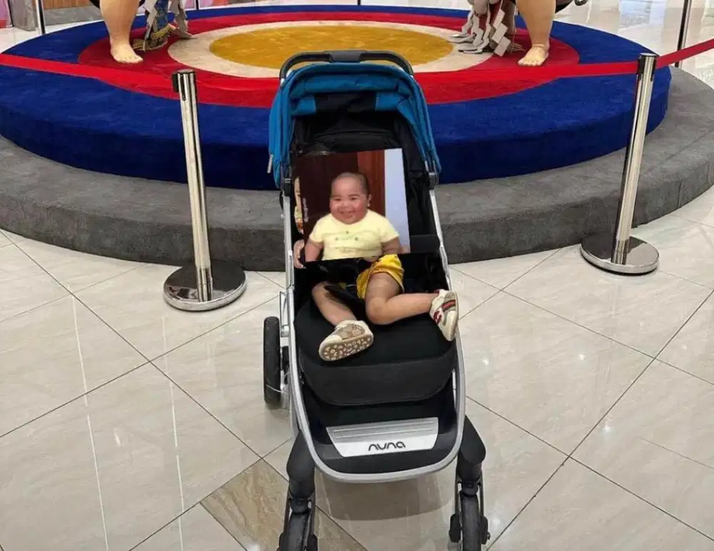 stroller merk nuna