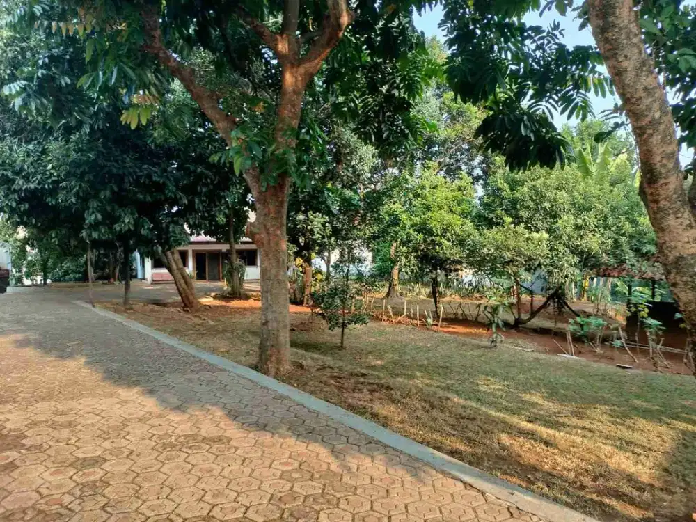 DIJUAL RUMAH KEBUN DENGAN HALAMAN LUAS DI AURI CIMANGGIS DEPOK DEKAT TOL & LRT