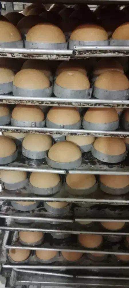 lowongan kerja produksi packing roti dan donat