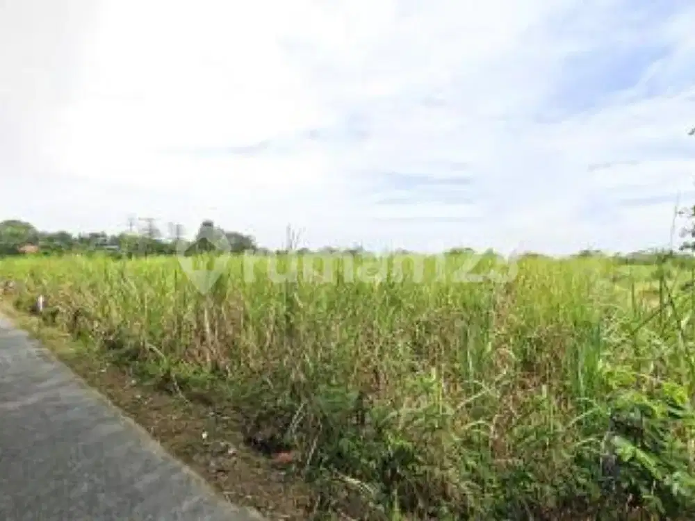 Tanah Luas Strategis Bagus di Bae Kudus A5985
