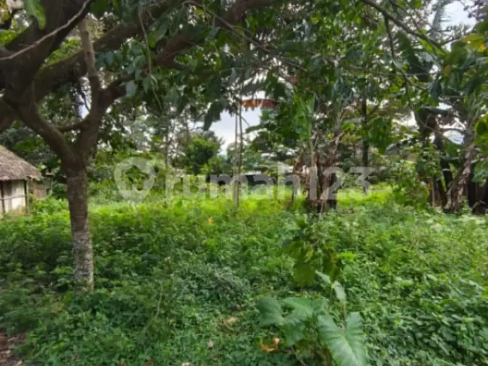 Tanah Siap Bangun Murah di Ungaran Timur A5336