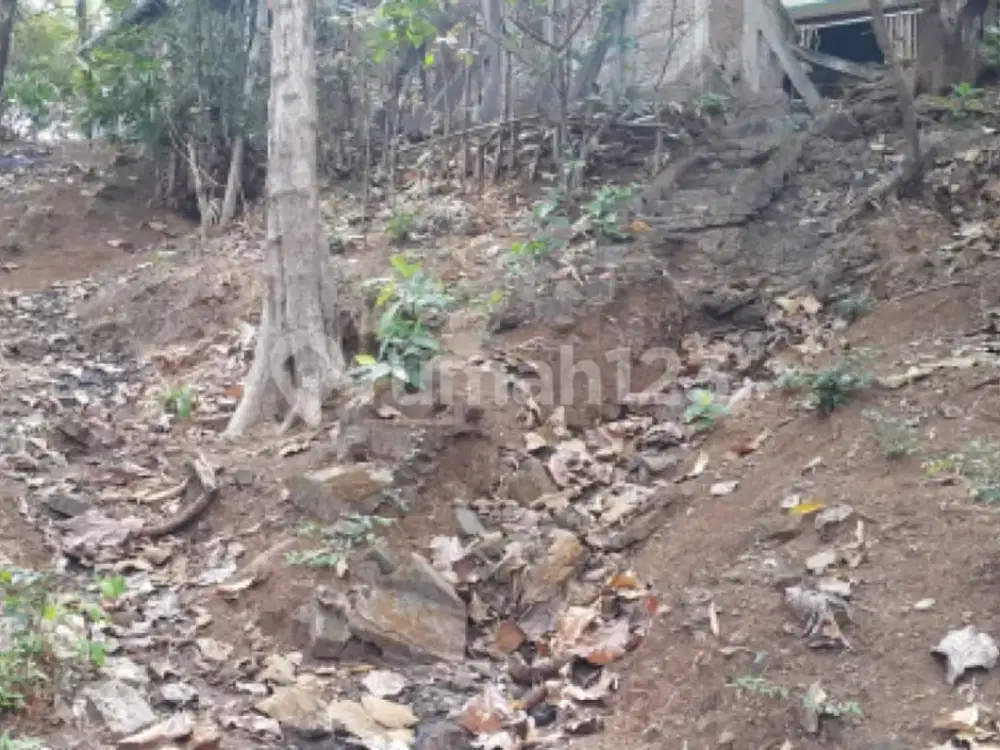 Tanah Murah Sejuk di Pengkol Jepara A5463
