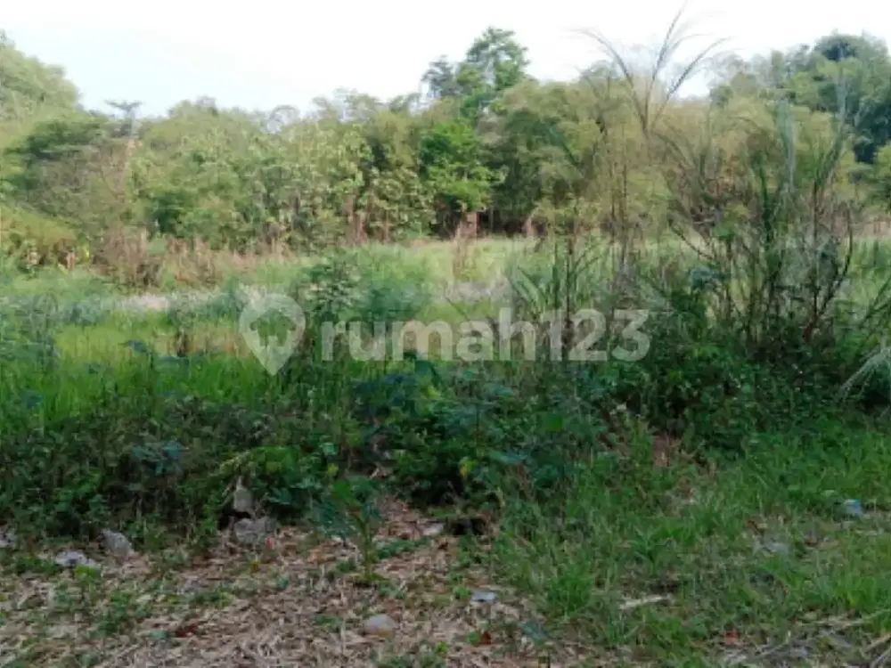 Tanah Murah Kavling Siap Bangun di Tembalang A5702