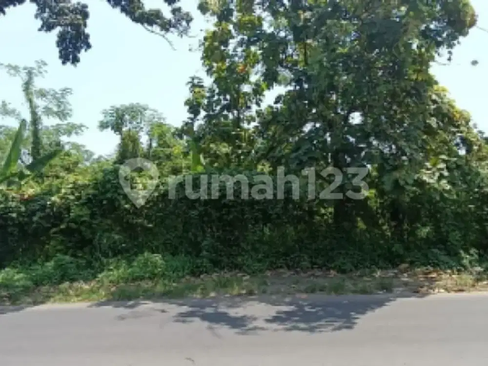 Tanah Siap Bangun Strategis di Ngaliyan A5483