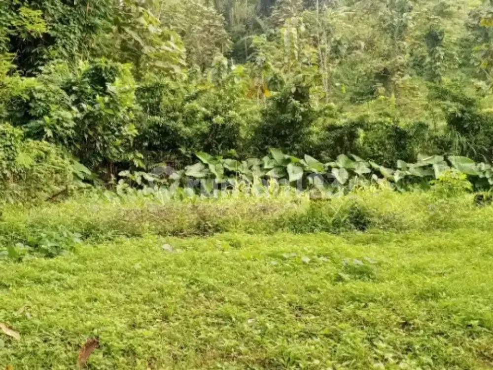 Tanah Siap Bangun Strategis di Ungaran Timur A5359