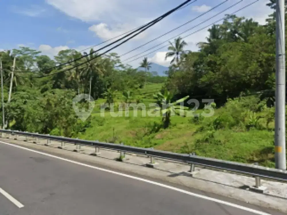 Tanah Dijual dan Disewakan Strategis di Secang Magelang A5429
