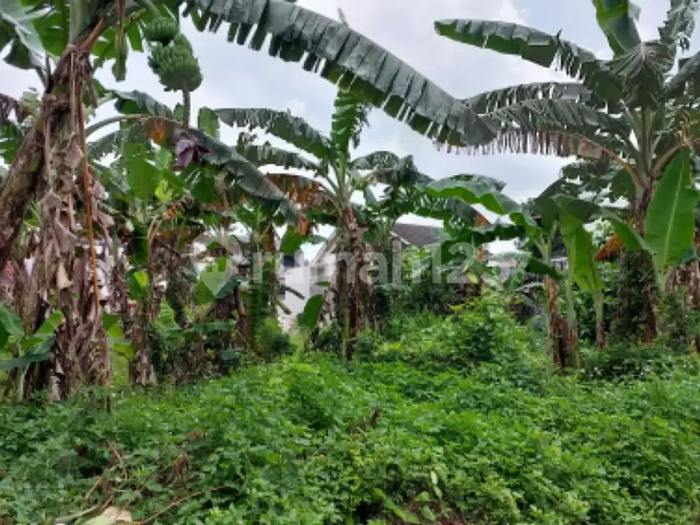 Tanah Siap Bangun Strategis di Gajah Mungkur A5353