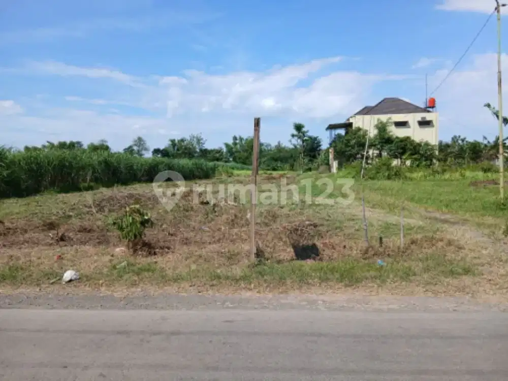 Tanah Luas Siap Bangun di Margorejo Pati A5322