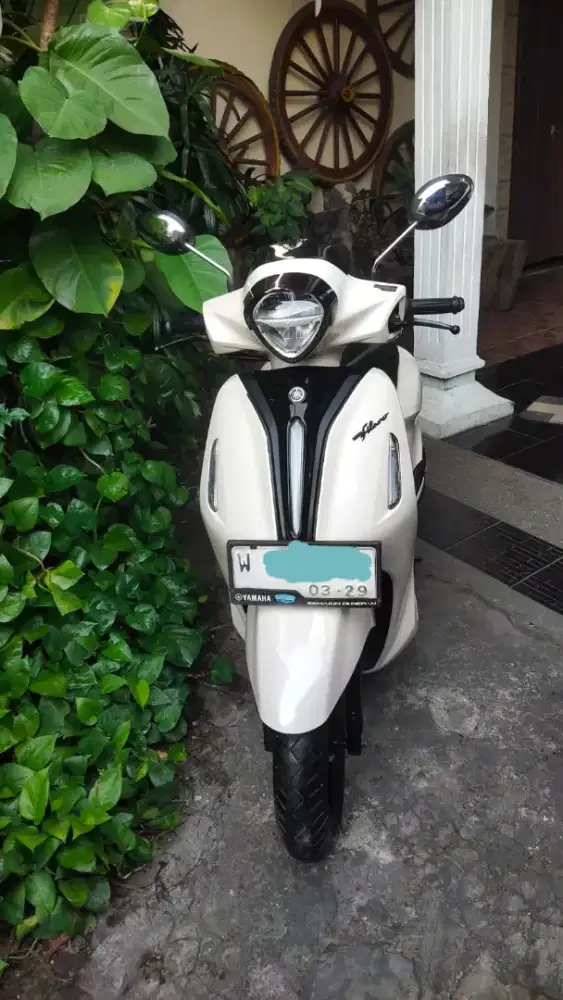 Yamaha Grand Filano
