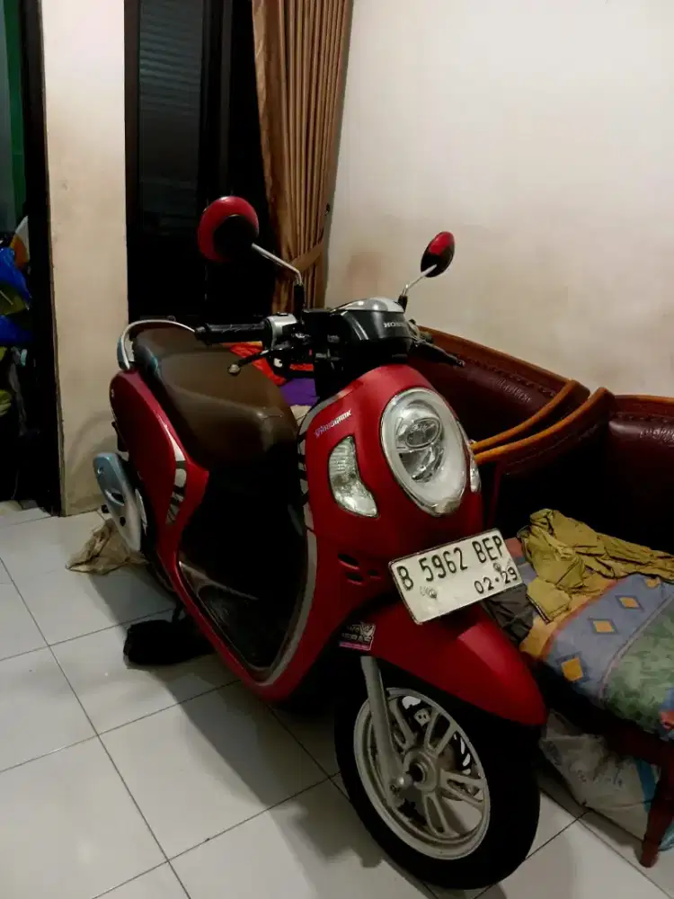Scoopy thn 2022