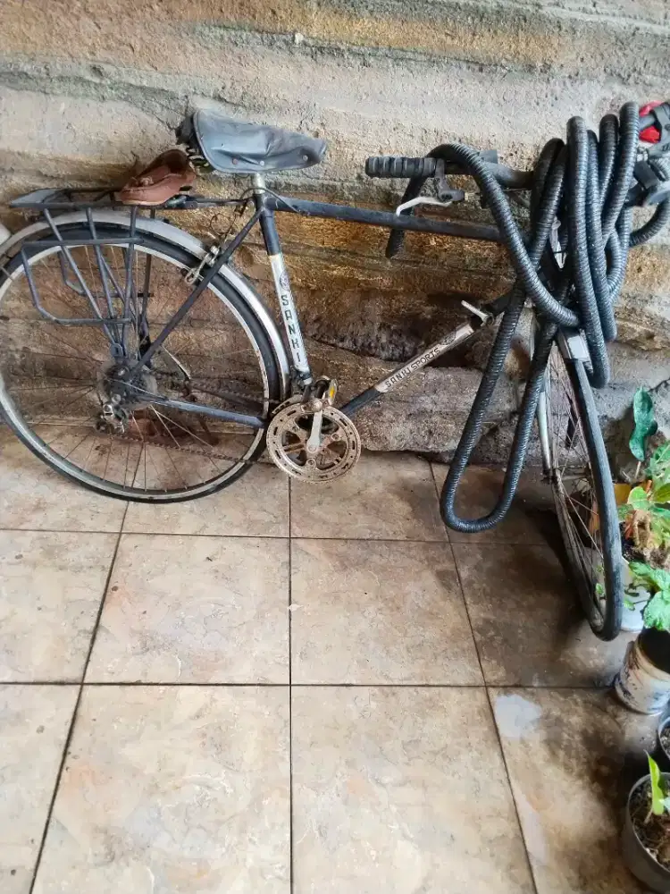 Sepeda sanki sport japan