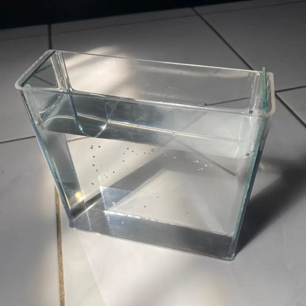 Aquarium Soliter Akrilik Flaring Untuk Mental Ikan Cupang/Betta Fish