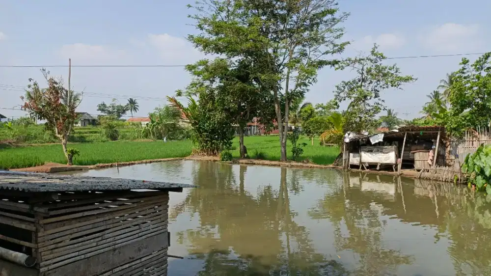 Dijual Tanah pertanian