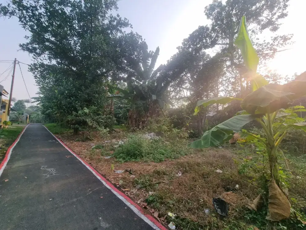 Tanah Dijual Murah 200 Meter Sedang BU Cisauk Pinggir Jalan SHM