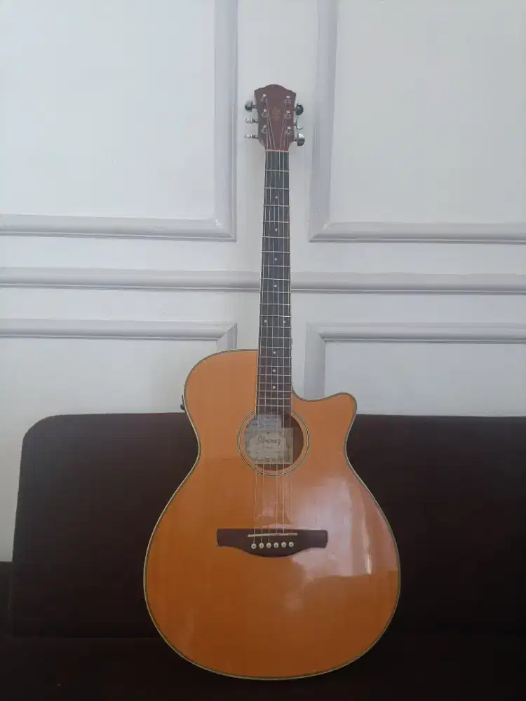 Ibanez AEG8E NT