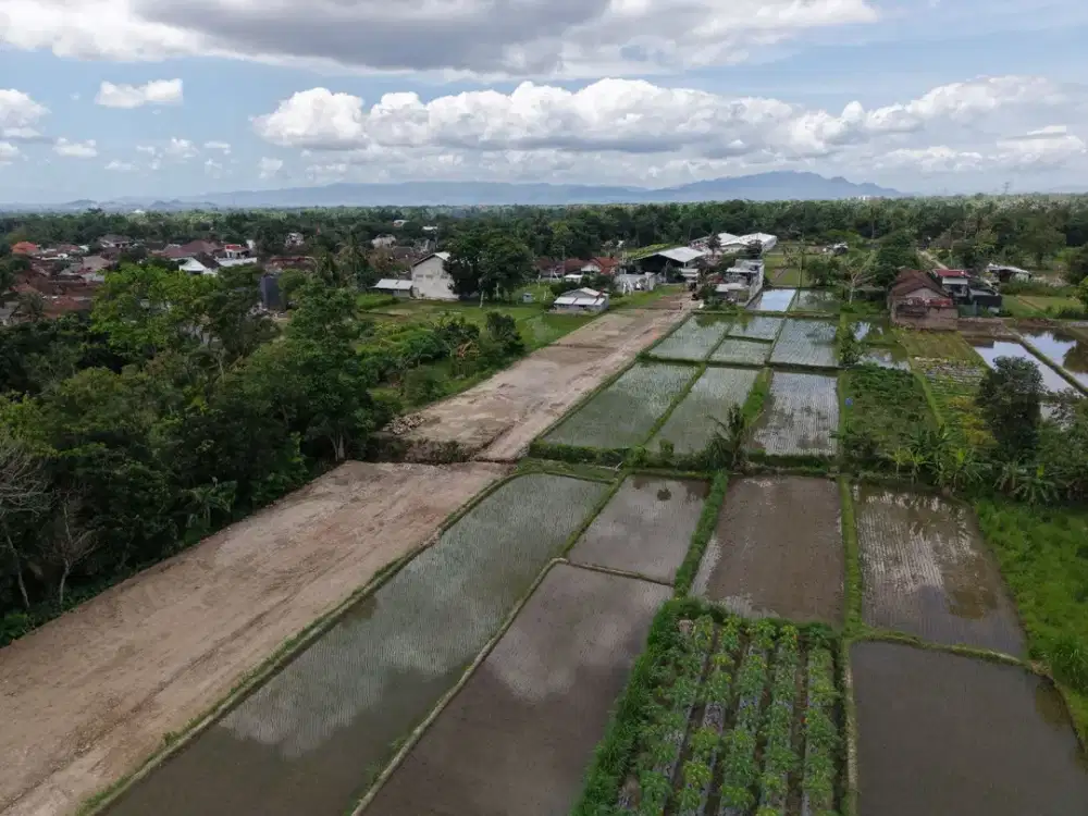 Investasi Tanah Tepi Jalan Palagan Sleman, Nilai Jual Terus Naik