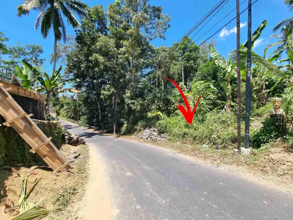 Jual Tanah Pinggir Jalan Tegalang Luas 840m/8.4are Zona Perdangan & Jasa cocok untuk bangunan Komersil