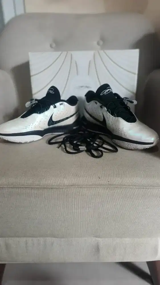 Nike Lebron xxl 21