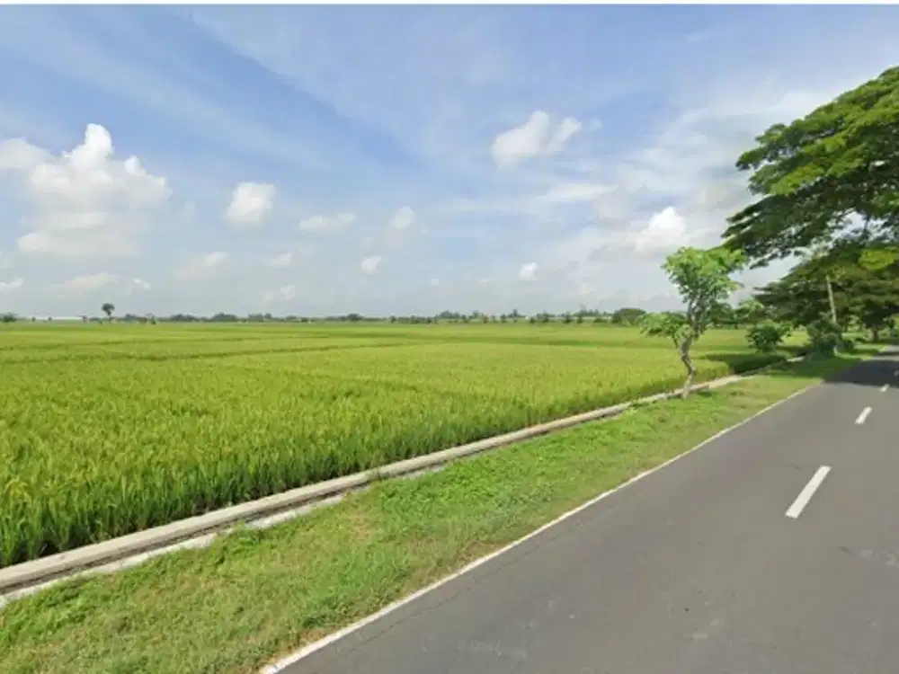 Dijual Tanah Murah Zona Industri 2,5 KM dari Exit Tol Sragen