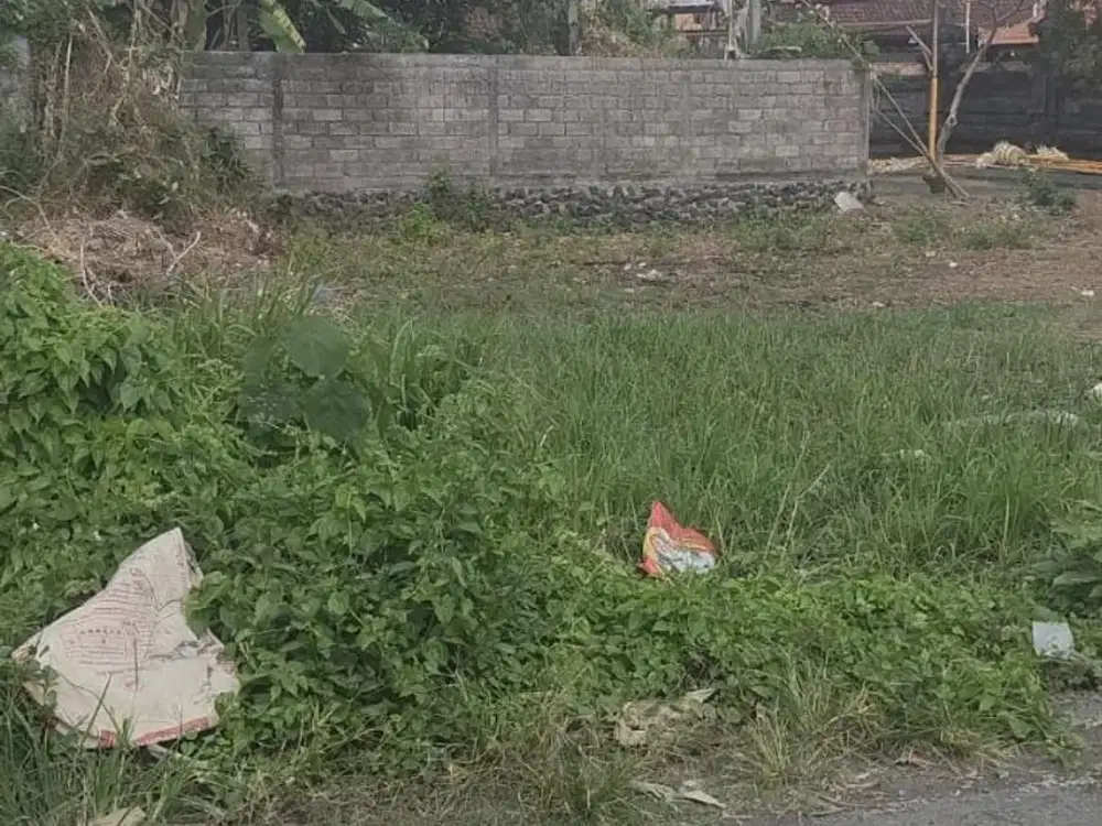 Dijual tanah kosong lokasi buduk dekat canggu/tumbak bayuh/pererenan/munggu