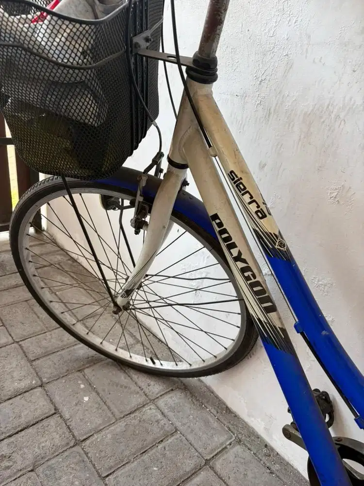 Sepeda polygon bekas