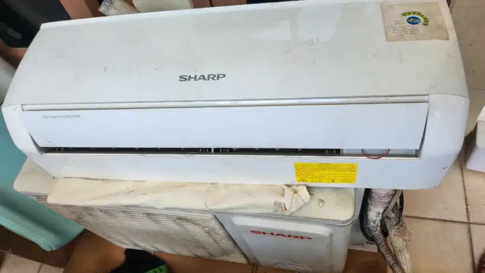 AC Sharp 1/2 PK