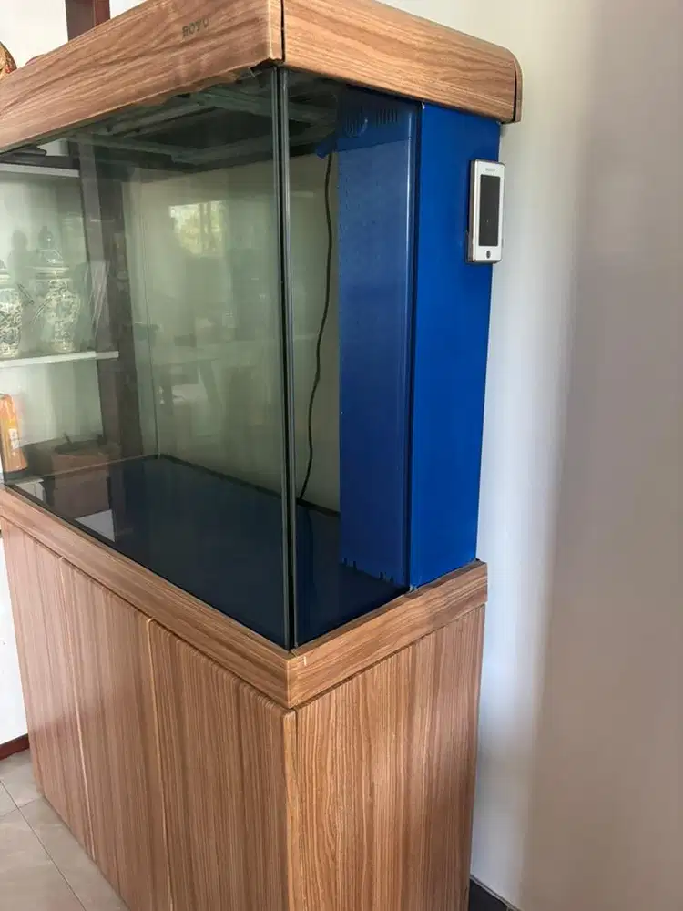 Aquarium remote system