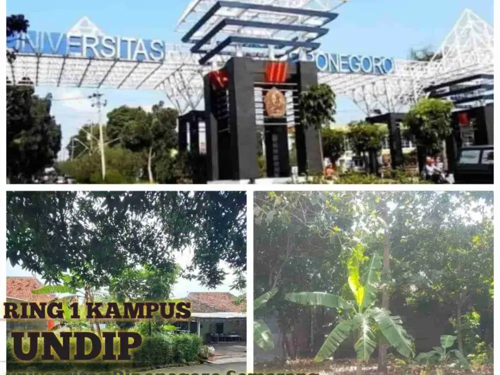 SAT SET ,TANAH BAGUS,STRATEGIS ,SHM,PINGGIR JALAN,RING 1 KAMPUS UNDIP TEMBALANG