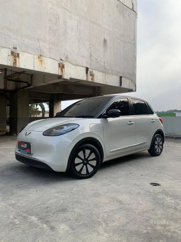 Wuling Binguo EV Premium Range 410km 2024