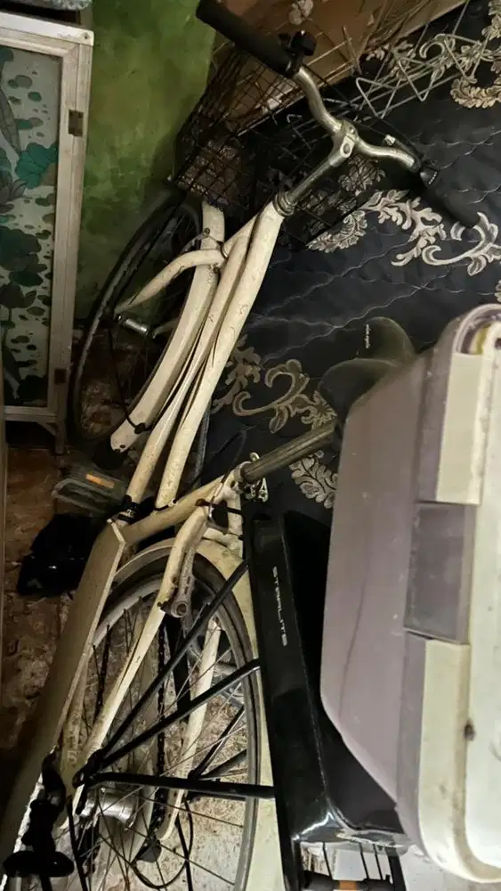 Wimcycle starlite