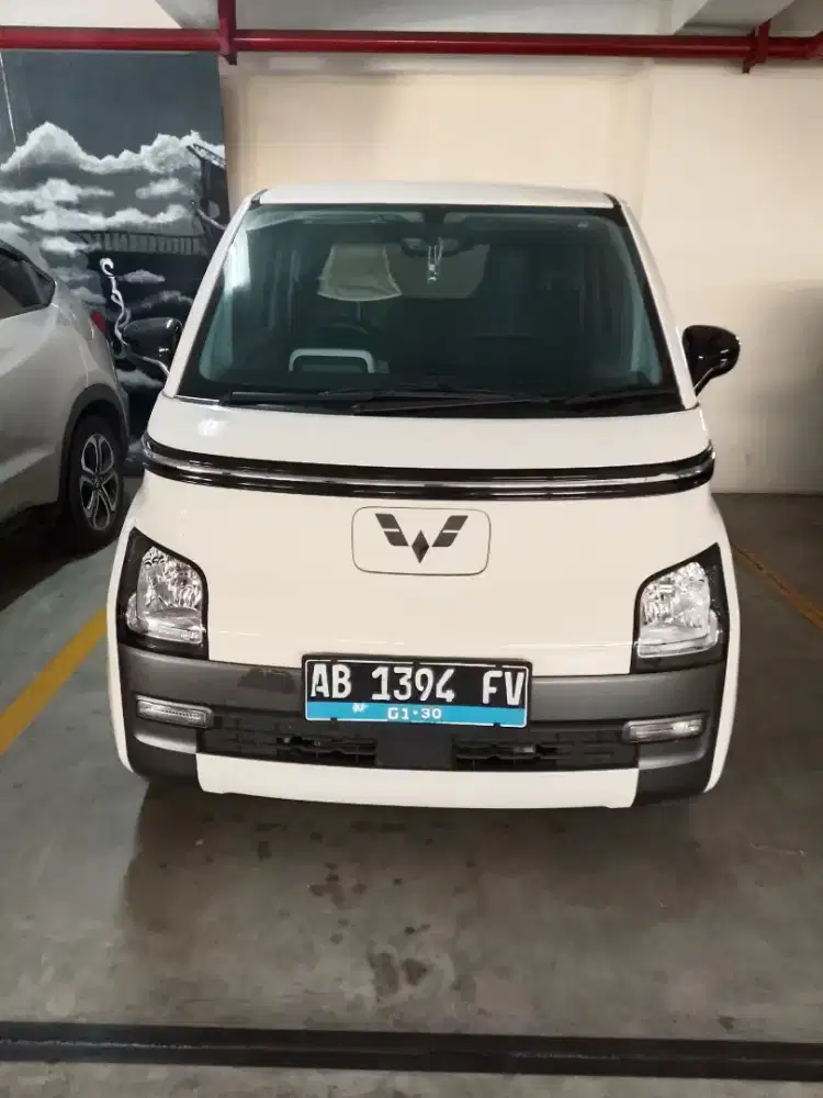 AIR EV LITE 300 LONG RANGE