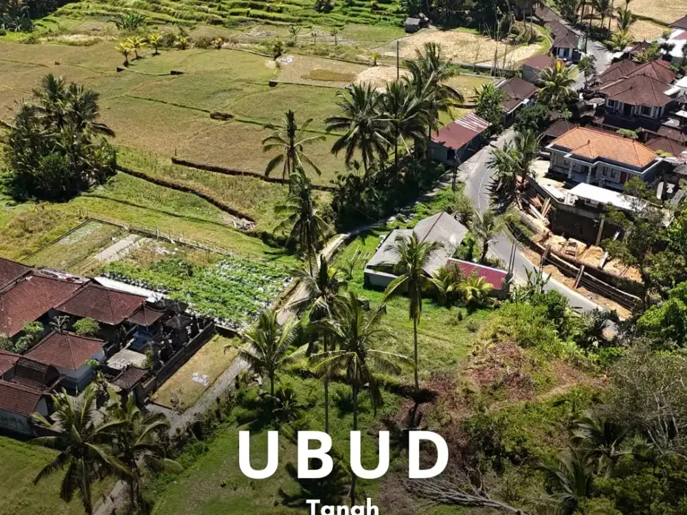 Tanah Ubud Tegallalang Samping Sungai Zona Perdagangan